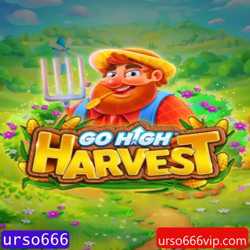 Explorando o Mundo de GoHighHarvest: Uma Jornada Inovadora
